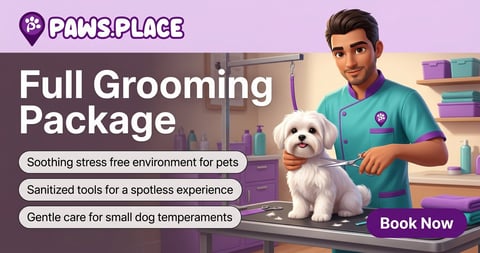 Paws Place grooming service advertisement featuring a male groomer with a white small dog, promoting full grooming packages with sanitized tools and stress-free environment