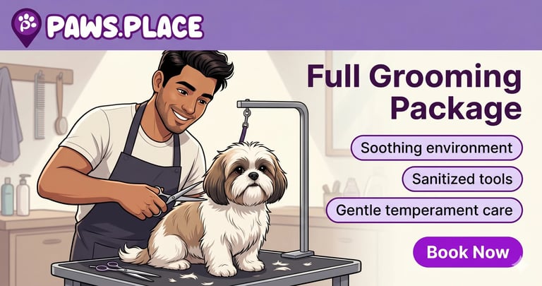 Groomer trimming a small white and brown dog at Paws Place full grooming service with book now button